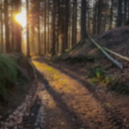 Appartement Ferienwohnung Kirnitzschtal Ottendorf (Saxony)