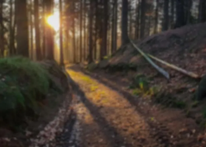 Apartment Kirnitzschtal Ottendorf (Saxony)